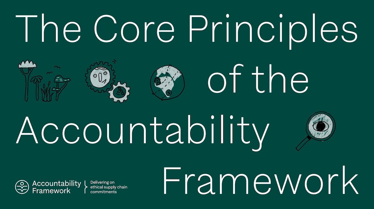 Accountability Framework initiative Core Principles