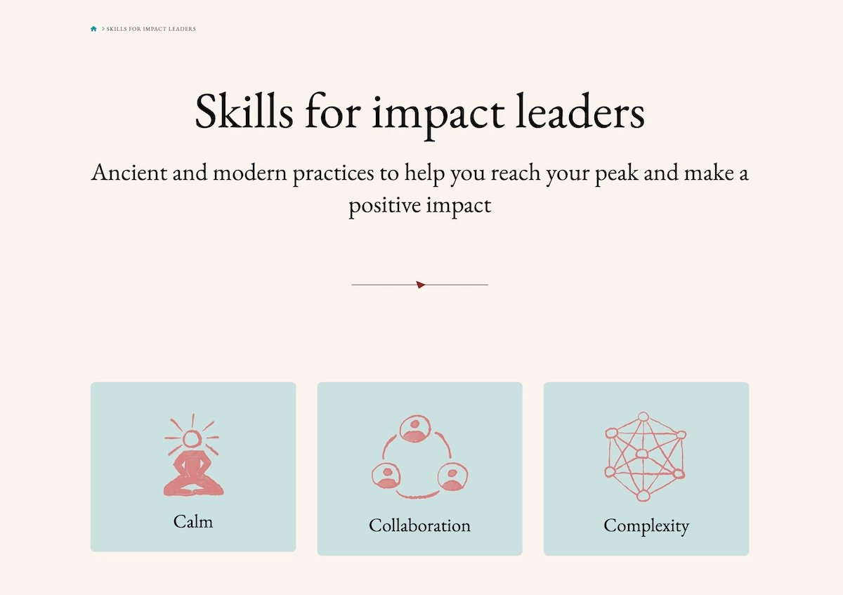 Project Indra website section: Skills for impact leaders
